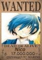 aff_nico.jpg