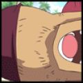 chopper2bd.gif